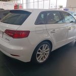 WhatsApp Image 2026-02-11 at 4.16.09 PM (2)