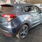 WhatsApp Image 2026-02-11 at 4.16.26 PM (1)